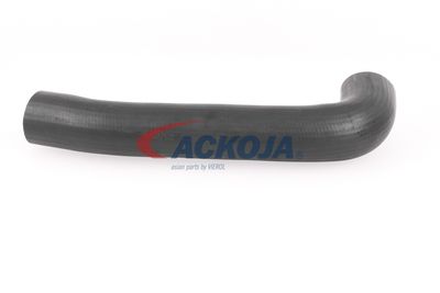 FURTUN EAR SUPRAALIMENTARE ACKOJA A379602 36