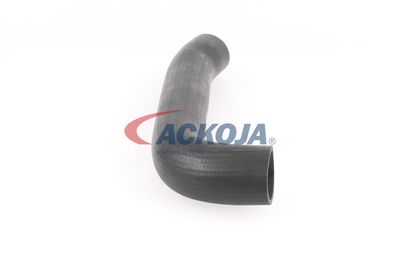 FURTUN EAR SUPRAALIMENTARE ACKOJA A379602 48