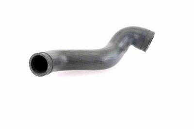 FURTUN EAR SUPRAALIMENTARE