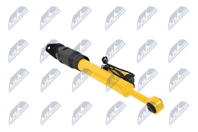 AMORTIZOR NTY ACH124 13