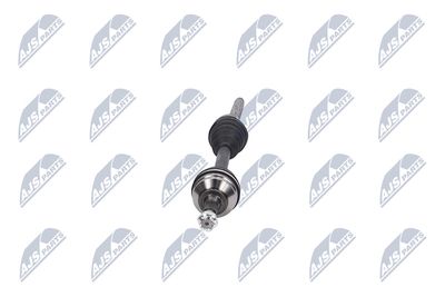 PLANETARA NTY NPWPE081 16