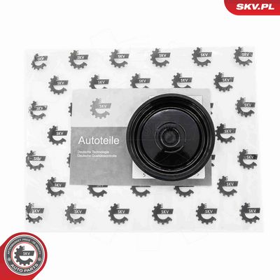 MEMBRANA AERISIRE CARCASA ARBORE COTIT