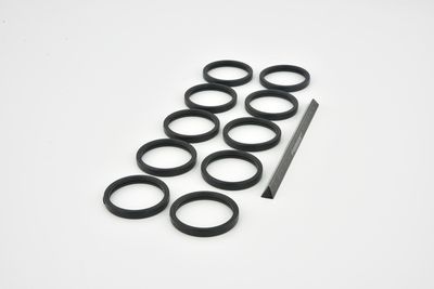 GARNITURA FLANSA LICHID RACIRE FEBEST RINGWH017PCS10 42