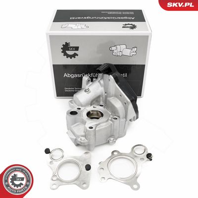 ESEN SKV - AGR - Ventil MERCEDES-BENZ , 14SKV259