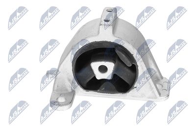 SUPORT MOTOR NTY ZPSCH002 25