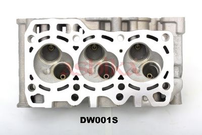 CHIULASA ASHIKA DW001S 5