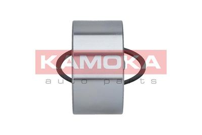 Wheel Bearing Kit 5600059