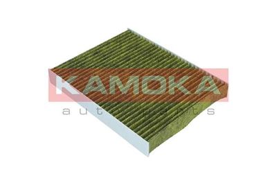 Filter, cabin air 6080014