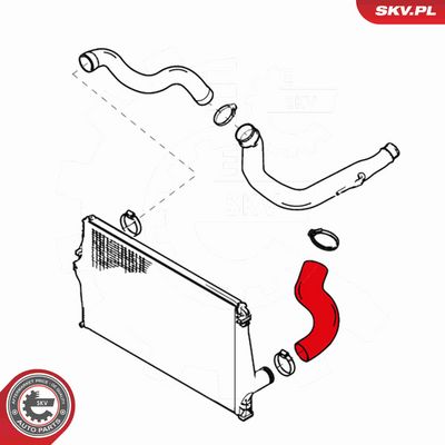 FURTUN EAR SUPRAALIMENTARE ESEN SKV 24SKV808 3