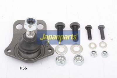 JAPANPARTS Šarnyras / girgždukas