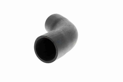 FURTUN EAR SUPRAALIMENTARE VAICO V201622 3