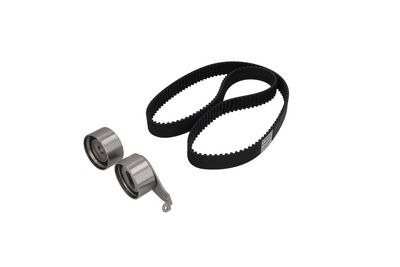 SET CUREA DE DISTRIBUTIE