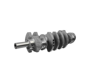 ARBORE COTIT ET ENGINETEAM HK0166 15