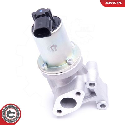 AGR - Ventil ESEN SKV 14SKV213