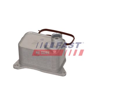 RADIATOR ULEI ULEI MOTOR FAST FT00665 13