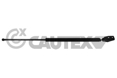 CAUTEX 773024 Амортизатор багажника и капота  для MAZDA 626 V Station Wagon (GW) 2.0 Turbo DI