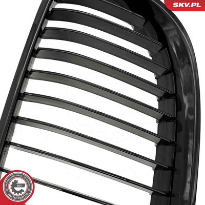 GRILA RADIATOR ESEN SKV 66SKV112 6