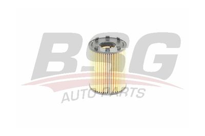 BSG BSG 25-140-001 Масляный фильтр  для FIAT LINEA (Фиат Линеа)