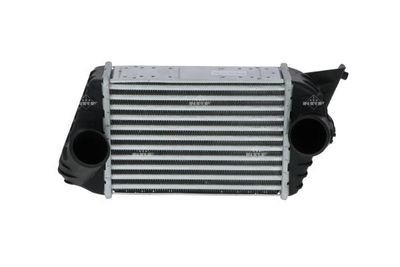 Charge Air Cooler 30833