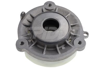 FEDERBEINSTüTZLAGER