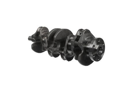 ARBORE COTIT ET ENGINETEAM HK0237 20