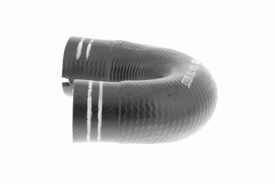 FURTUN EAR SUPRAALIMENTARE VAICO V240804 3