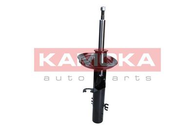 Shock Absorber 2000441