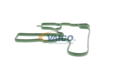 DICHTUNG KURBELGEHäUSEENTLüFTUNG VAICO V103884 24