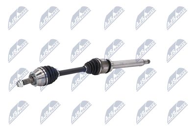 PLANETARA NTY NPWBM173 20