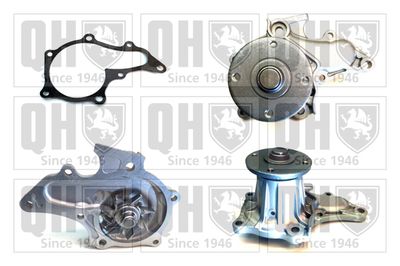 Водяной насос, охлаждение двигателя QUINTON HAZELL QCP2596 для FIAT 1100-1900
