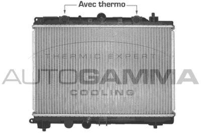 Радиатор, охлаждение двигателя AUTOGAMMA 102946 для ROVER 45