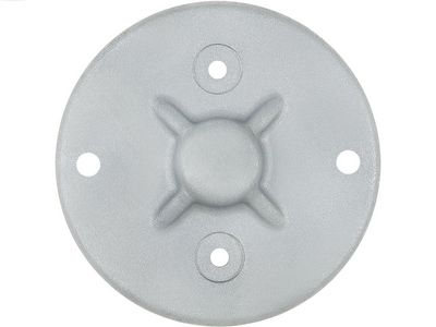 AS-PL Starterdeckel, Vergaser