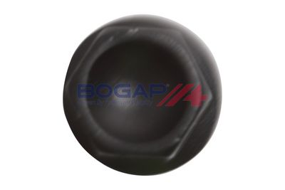 BOLT ROATA BOGAP B3336101 3