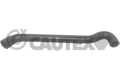 Шланг, вентиляция картера CAUTEX 753140 для SEAT AROSA