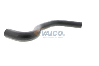 KüHLERSCHLAUCH VAICO V420640 55