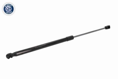 GASFEDER KOFFER-/LADERAUM VAICO V304556 2