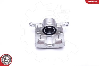 Brake Caliper 42SKV242