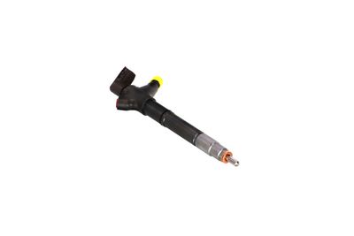 INJECTOR REMANTE 002003002094R 49