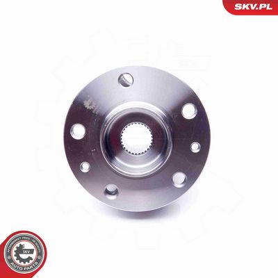 SET RULMENT ROATA ESEN SKV 29SKV172 2