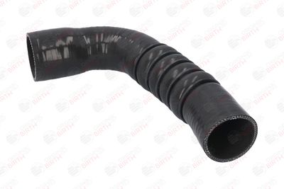 FURTUN EAR SUPRAALIMENTARE BIRTH 55588 3
