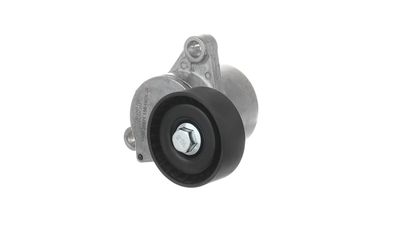 INTINZATOR CUREA CUREA DISTRIBUTIE SKF VKM38871 33