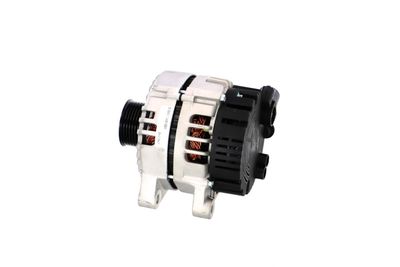GENERATOR / ALTERNATOR REMANTE 011003000717R 18