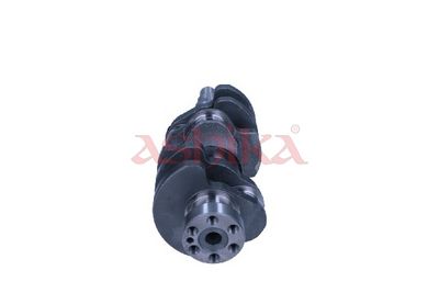 ARBORE COTIT ASHIKA 18DW000 1