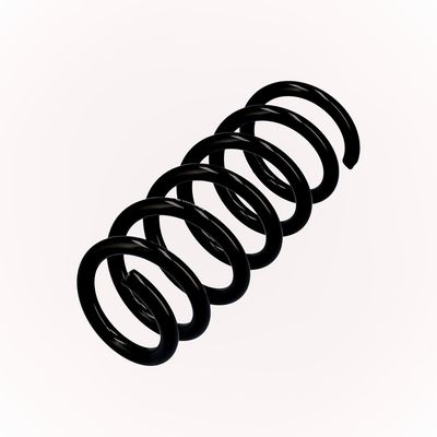 ARC SPIRAL EIBACH R23128 3