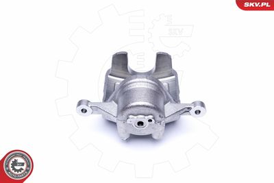 Brake Caliper 42SKV481