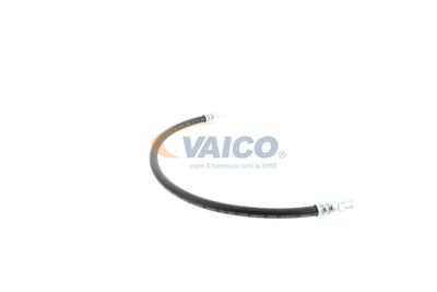FURTUN FRANA VAICO V309926 44