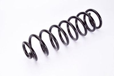 Spiraalveer Achter Links/Rechts past: RENAULT MEGANE II 1.4-2.0D 09.02-01.11