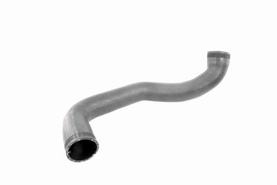 FURTUN EAR SUPRAALIMENTARE