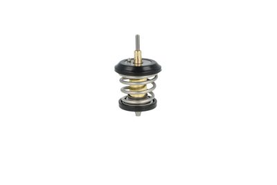 TERMOSTAT LICHID RACIRE NRF 725250 14