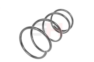 ARC SPIRAL GH GH203204 41